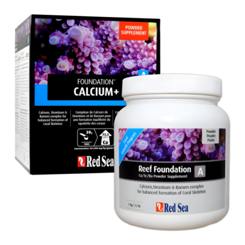 Foundation A Red Sea (1 kg en Polvo)