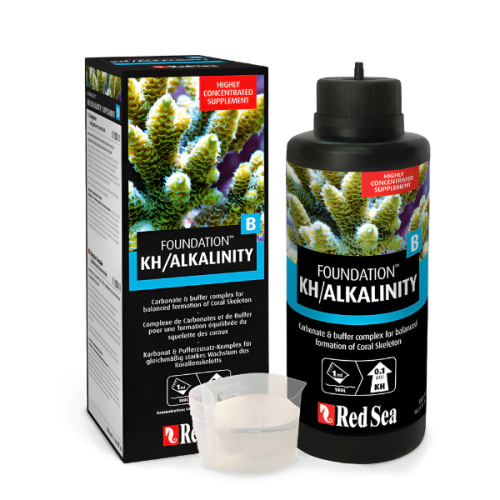 Foundation B Red Sea