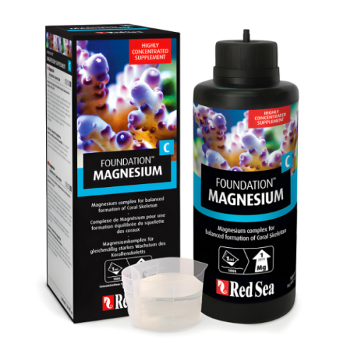 Foundation C Red Sea