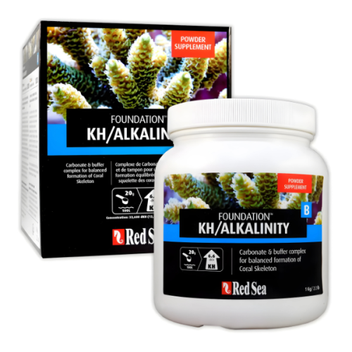 Foundation B Red Sea (1 kg en Polvo)