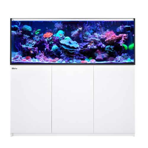 Acuario Reefer 525 G2+ Red Sea